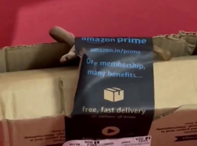 https://salarnews.in/public/uploads/images/newsimages/maannewsimage19062024_175026_Bengaluru couple shocked as they find snake in Amazon package.jpg